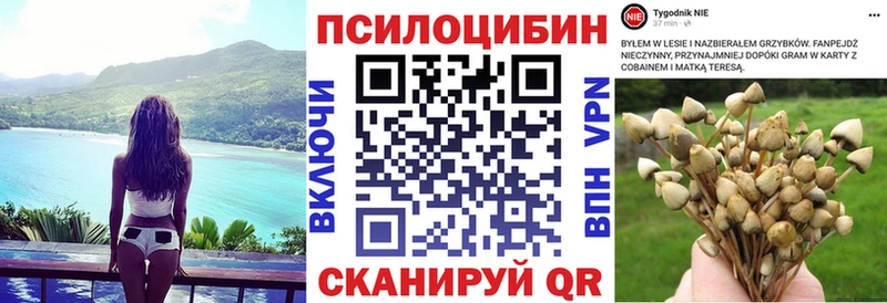 Галлюциногенные грибы GOLDEN TEACHER  купить закладку  Сухой Лог 